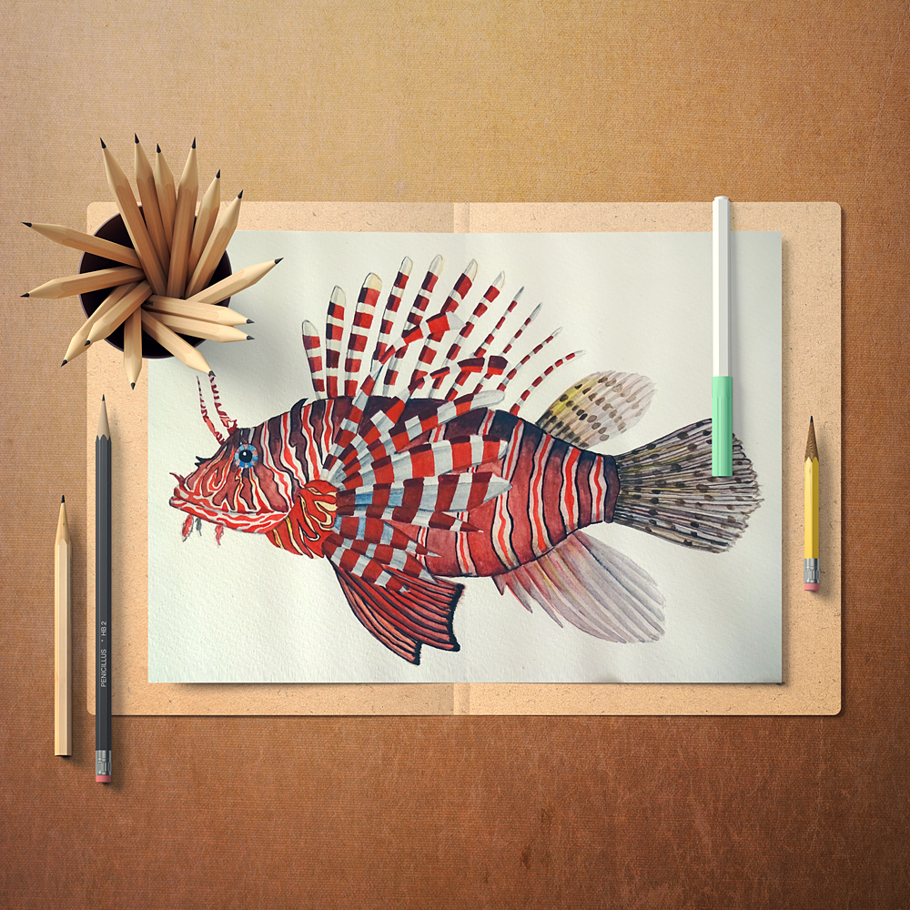 Aquarell-Illustration eines Rotfeuerfischs